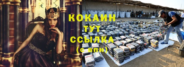 ешки Арсеньев