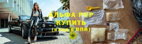 ешки Арсеньев