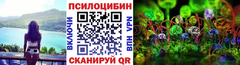 Галлюциногенные грибы Psilocybe  Купить где  Кемерово 